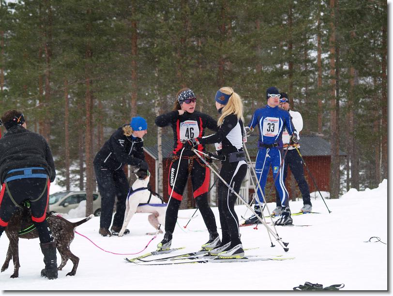 Nästa bild